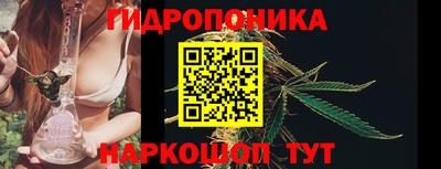 PSILOCYBIN Заволжье