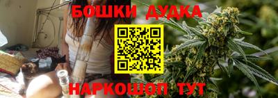 стафф Дубна