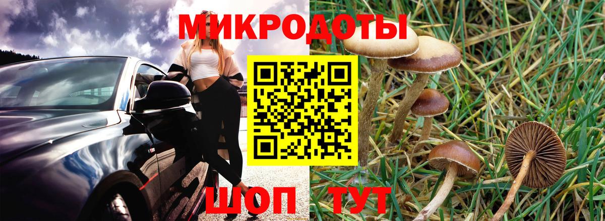 Галлюциногенные грибы Psilocybe  Вход с VPN  где купить наркоту  Майский 