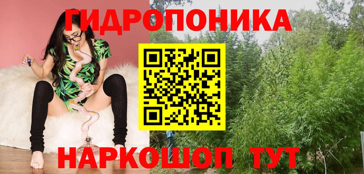 Бошки марихуана ГИДРОПОН  Каннабис ГИДРОПОН  Бошки Шишки Amnesia  Майский  Вход с VPN  Бошки марихуана тримм 